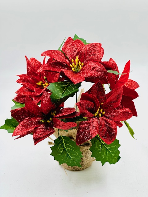 ESTR FEDERAL X5 BASE ARPI 26CM (268707|EA41-37-07)