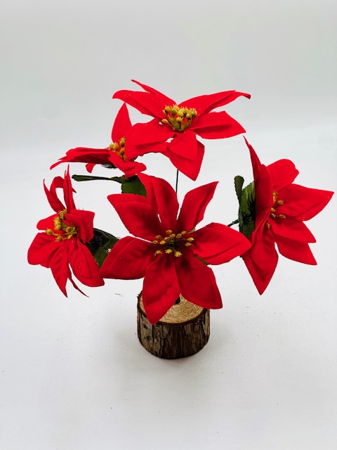 EST FEDERA X5 BASE MADERA 26CM (268709|EA41-37-09)