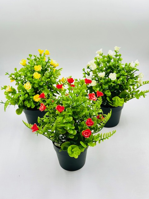 MACETITA SUCULENTA C/ROSA 7X22 (810836|EA41-01-09)