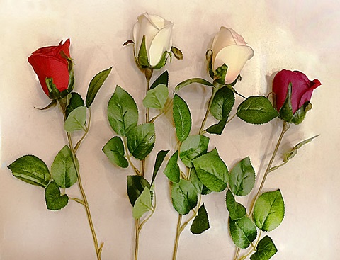 PIMPOLLO 55 CM (818948|EA35-02-02)