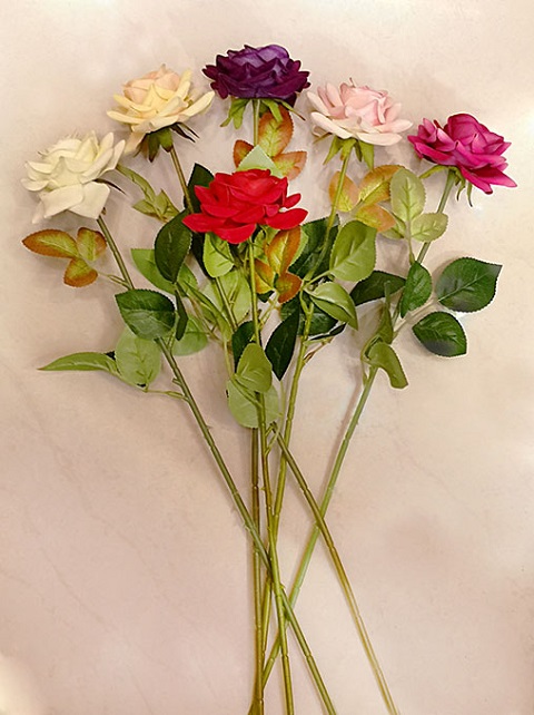 ROSA MOSQUETA 8X55CM (818949|EA35-02-03)