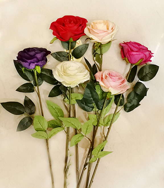 ROSA 10X72CM (818951|EA35-02-05)