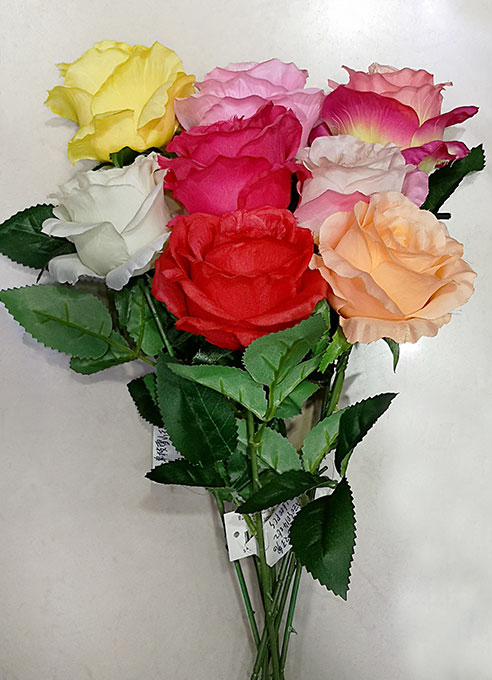 ROSA 9  X 62CM (818953|EA35-03-02)